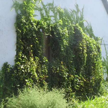 Eva Panzio Country house *